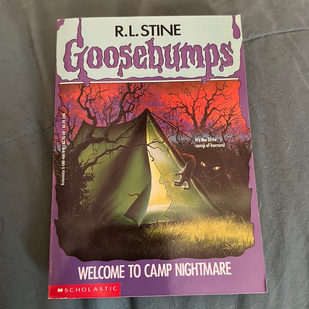 Scholastic Children’s Book | Goosebumps Book